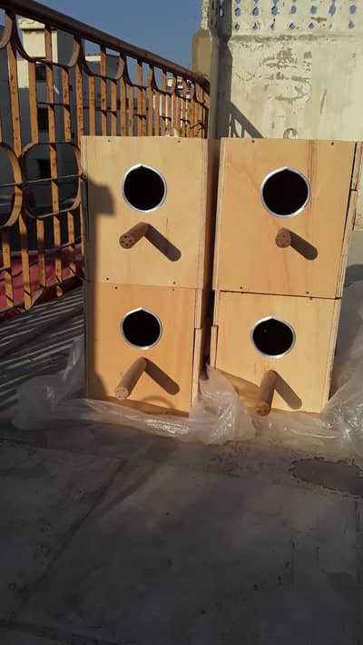 Breeding Box love bird java finch