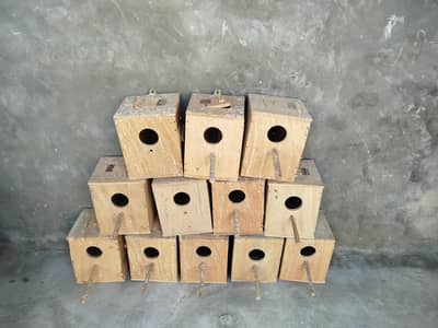 Love Birds and Cocktail Boxes