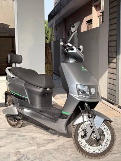 Evee on leopard  pro