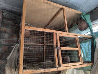 Wood Cage with 5 Finches