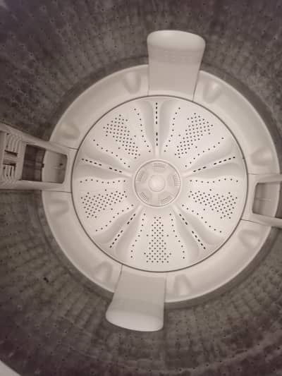 Hair fully auto 12 kg