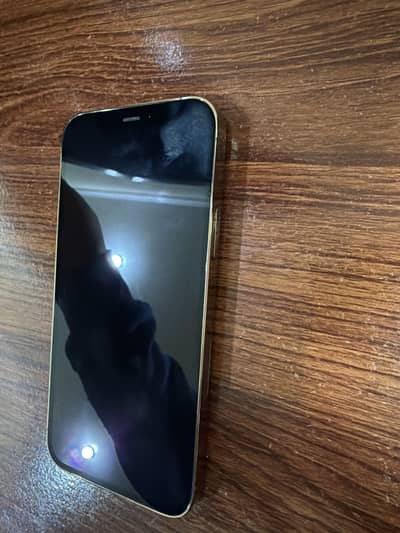 iPhone 12 Pro PTA Approved | 128GB | Factory Unlocked | Well Condition