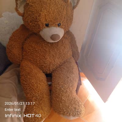 teddy bear  Big size