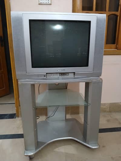 Panasonic 20" Color TV with Trolley