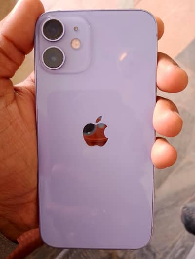 iphone 12 mini