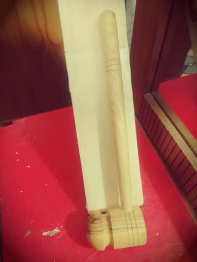 hardball cricket  bat