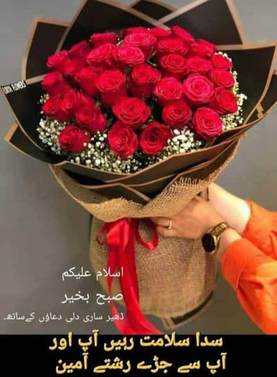 For Dance & events school colllege  servise in karachi