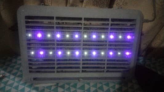 electric insect killer