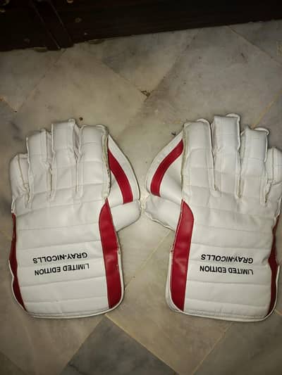 Wicket Keeping Gloves – Excellent Grip & Condition (Lightly Used)