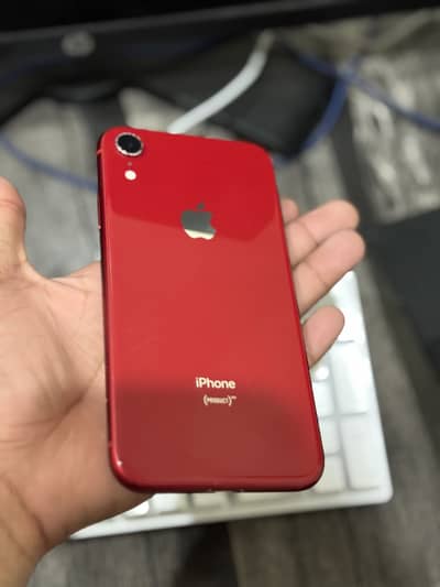 iPhone XR pta approve