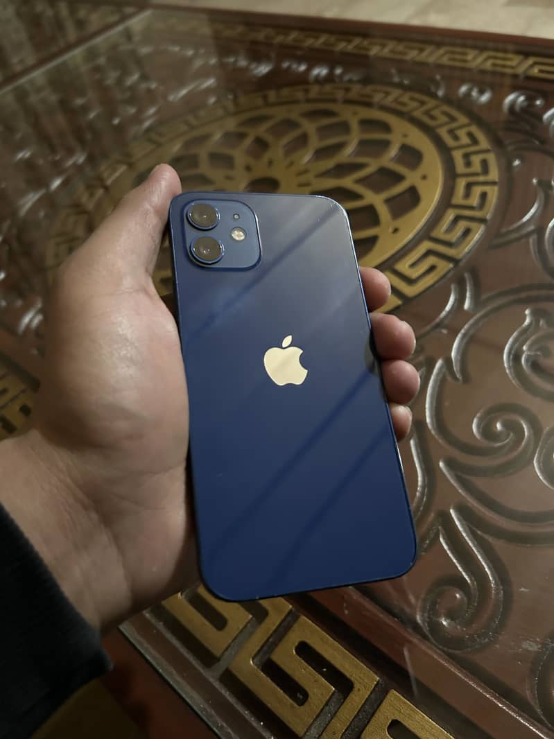 iPhone 12 0