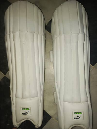 Wicket Keeping Pads – Lightweight & Comfortable (Good Condition)