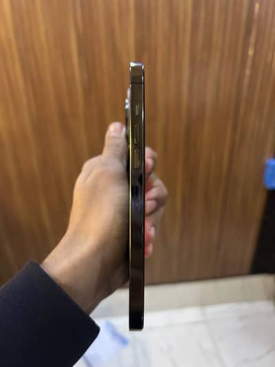 iPhone 13 Pro Max non pta 256 gb