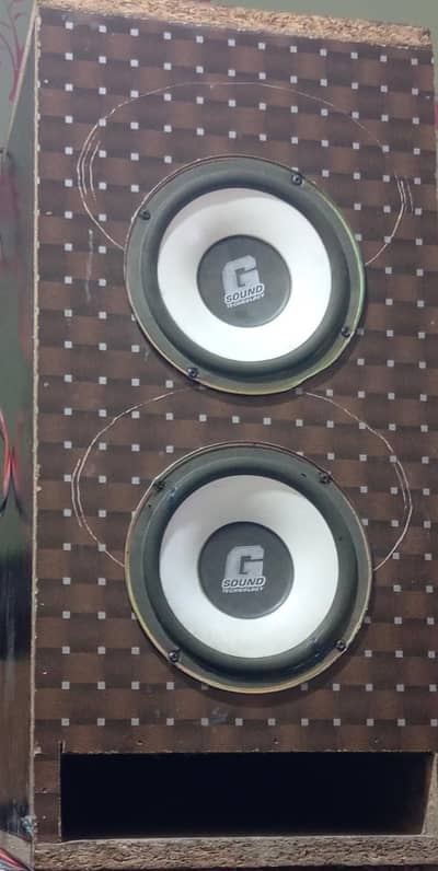 6" 2 woofer