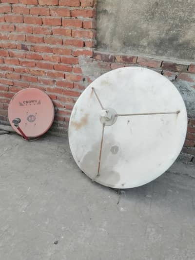 dish in lahore shad baghi road