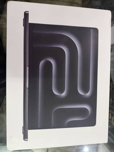 Apple M4 Pro Memory: 24GB Unified RAM Storage: 512GB