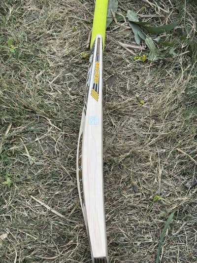 CA 20KGold Bat