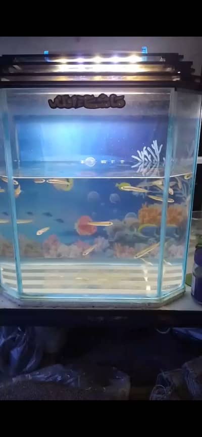 Want to sell my aquarium