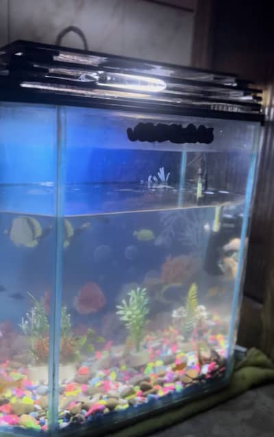 aquarium