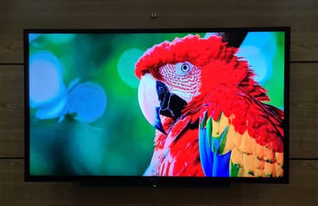 Sony Bravia Smart LED