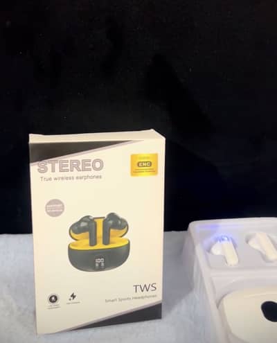Stereo earphones
