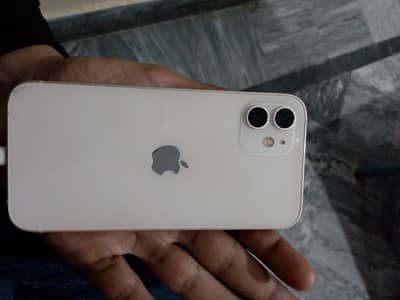 12 white  128 dual pta