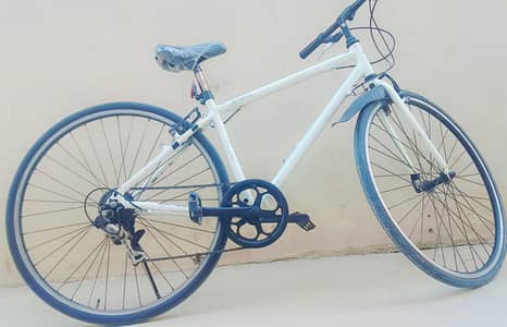 JapanY Bicycle