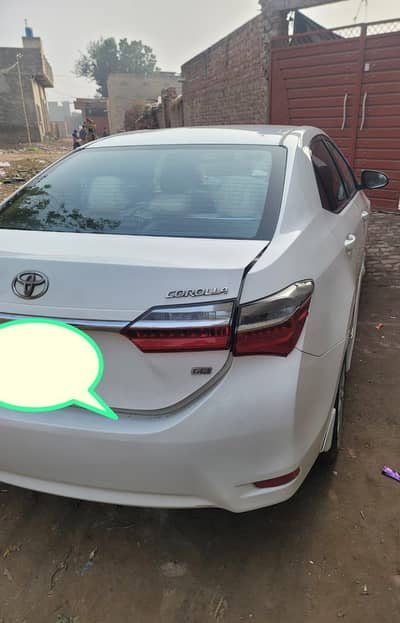 need good female staff