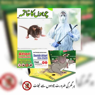 Pest Control Services - Termite Control - Dengue Spary - Fumigation