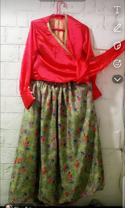 party wear stylish skirt