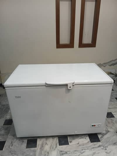 D feeezer 1 door. . . 03115981885