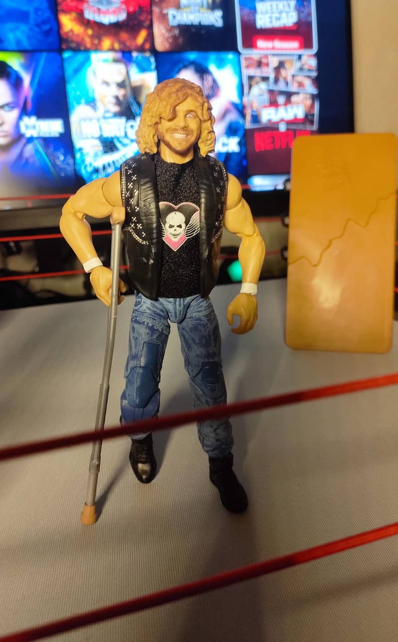 WWE Action figure 1