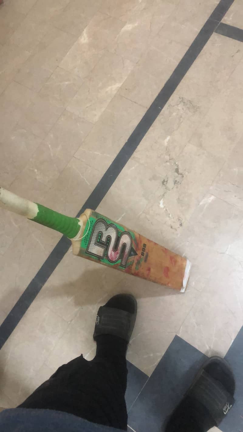 bs cricket bat 3