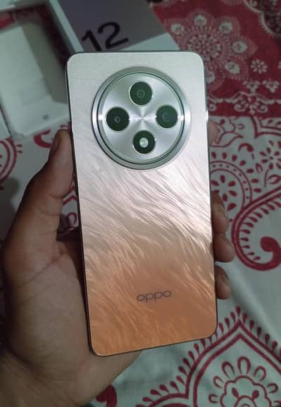 Oppo Reno 12F 5G 12/256