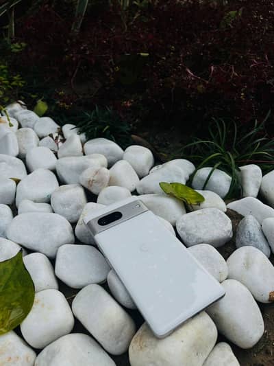 Google pixel 7 New Official pta