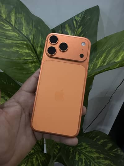 17promax 512gb Factory Unlocked Non pta