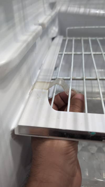 Kenwood Economic Fridge