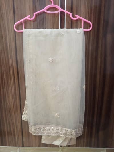 partywear/formal wear/nikkah wear/event wear/wedding formal/maxi