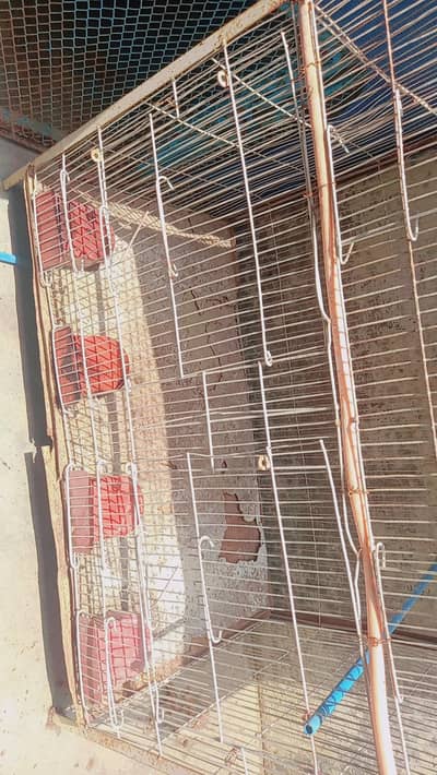 birds cages for sale
