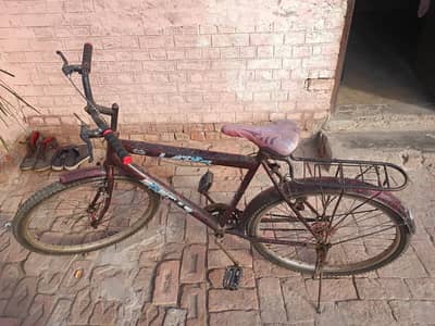 Bicycle for sale