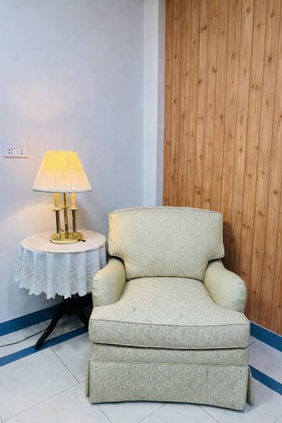 USA MADE IMPORTED SOFA