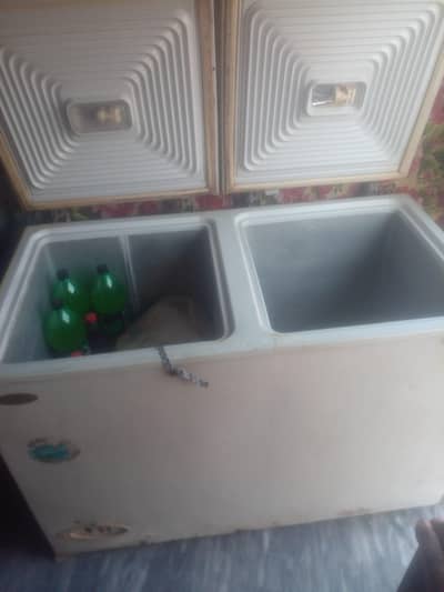 a1 all l h mibym saiz h