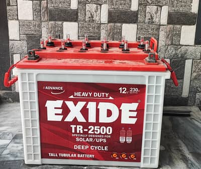 Exide TR-2500 Tall Tubular