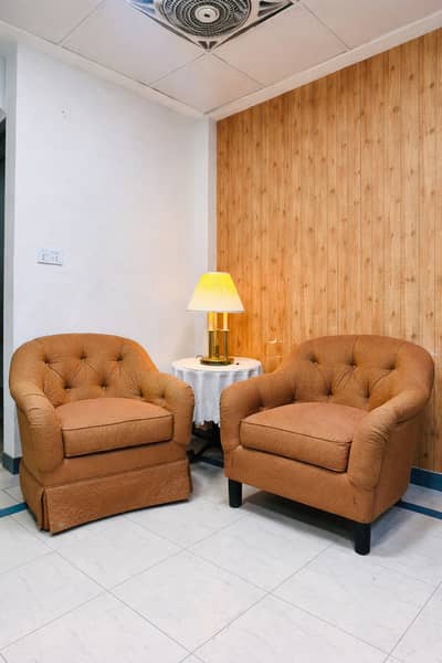 Luxury Upholstered Single-Seater Sofa Chairs (2 Pieces)