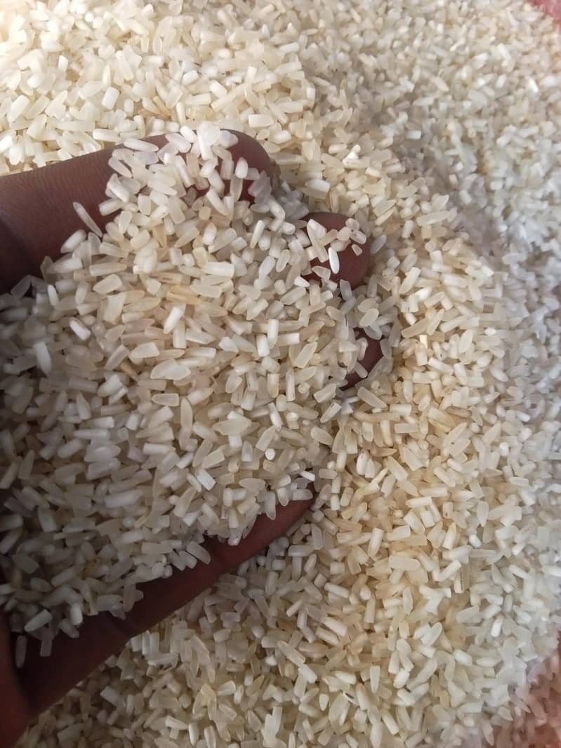 Tota rice - Kitchen Appliance Accessories - 1110883354