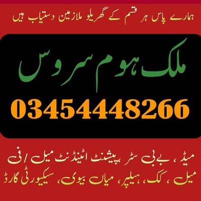 PROPORTIONAL MAIDS COOK DRIVER ATTENDANT COUPLE HELPER E