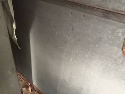 bister petty old and good guilty