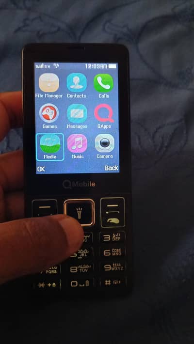 Q mobile XL300