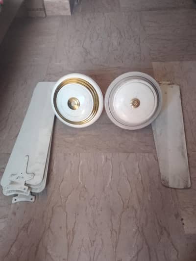 Two ceiling fans