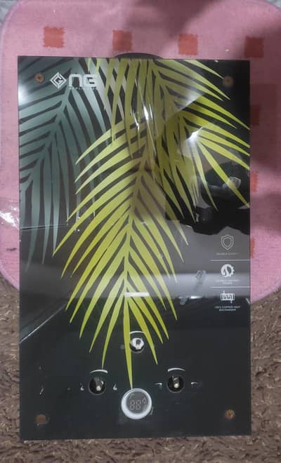 Nasgas Instant Geyser